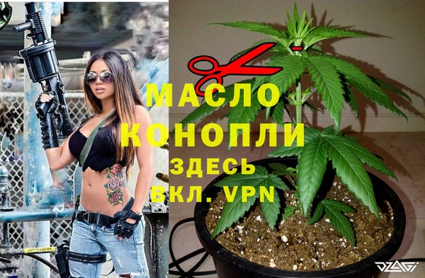 стаф Арсеньев