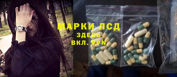 стаф Арсеньев