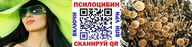 закладки  Новозыбков  Галлюциногенные грибы прущие грибы 