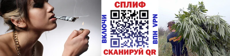 Канабис OG Kush  Новозыбков 